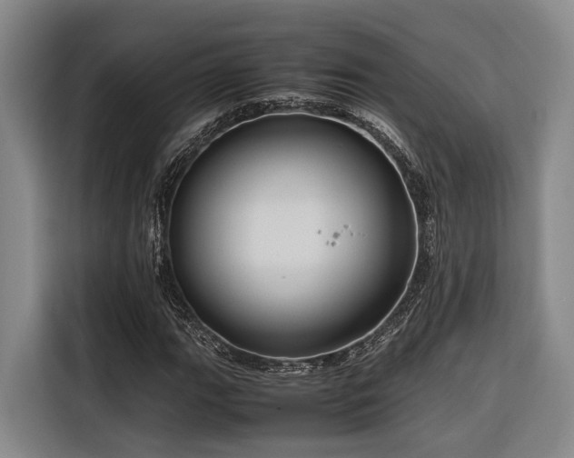 X0000116661111200912141315