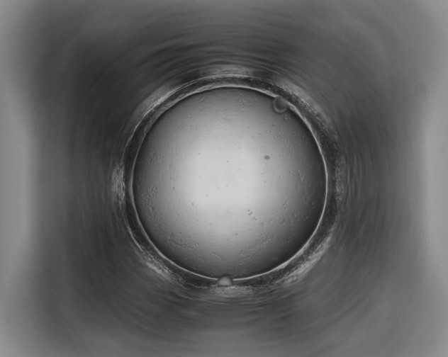 X0000116661113200912141315