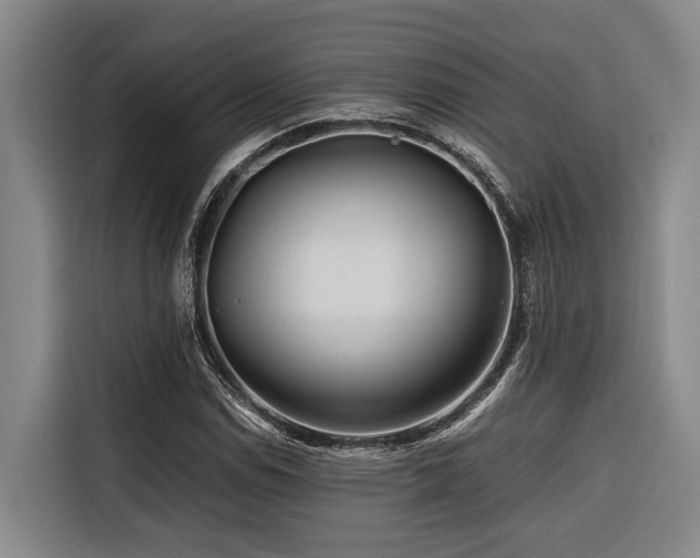 X0000116661114200912141315