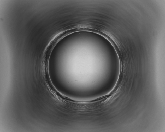 X0000116661115200912141315