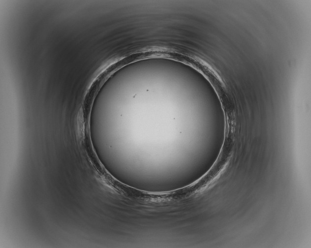 X0000116661117200912141315