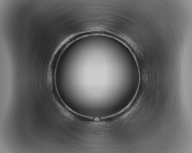 X0000116661118200912141315