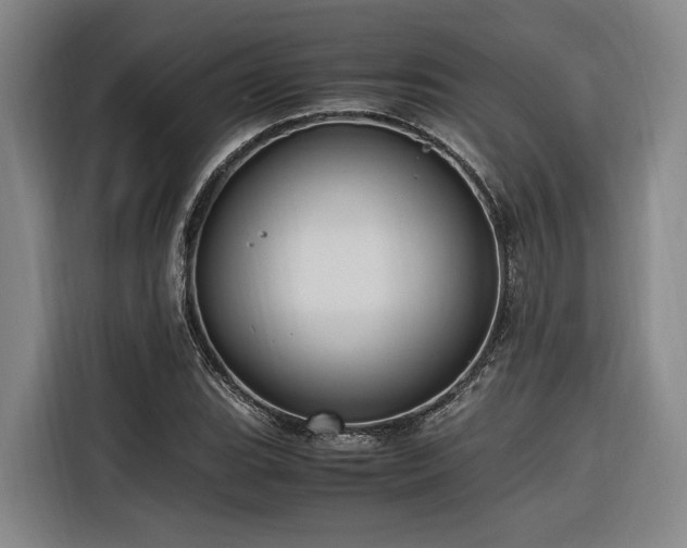 X0000116661119200912141315