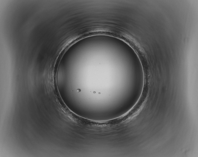 X0000116661121200912141315