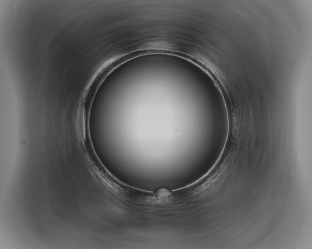 X0000116661123200912141315