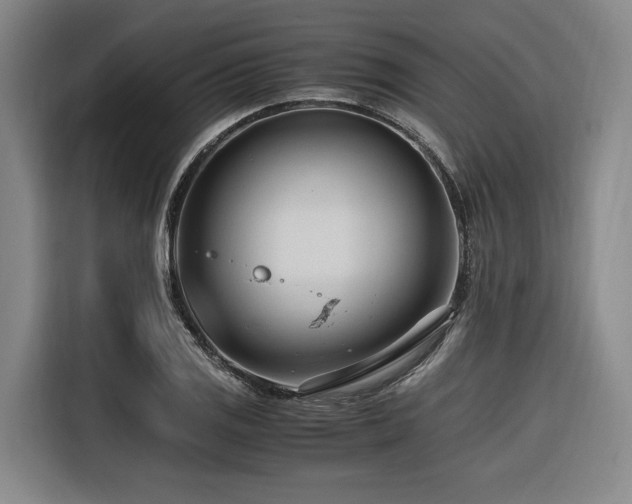 X0000116661125200912141315