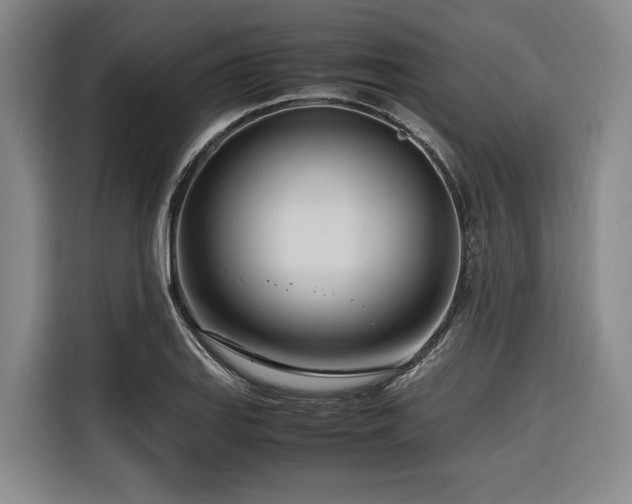 X0000116661127200912141315