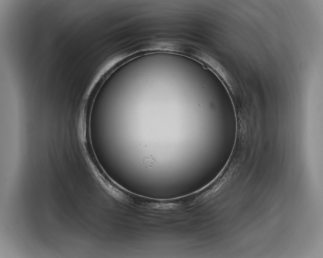 X0000116661131200912141315