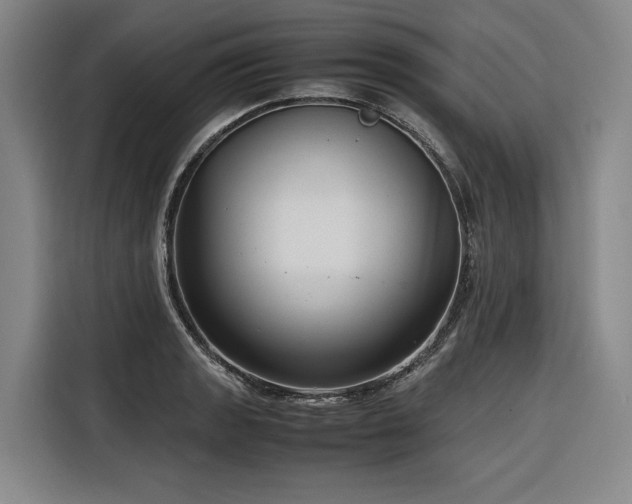 X0000116661133200912141315