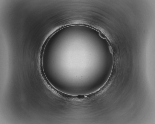 X0000116661134200912141315