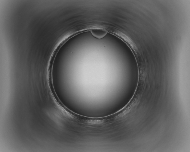 X0000116661135200912141315