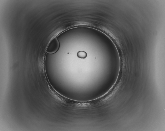 X0000116661137200912141315