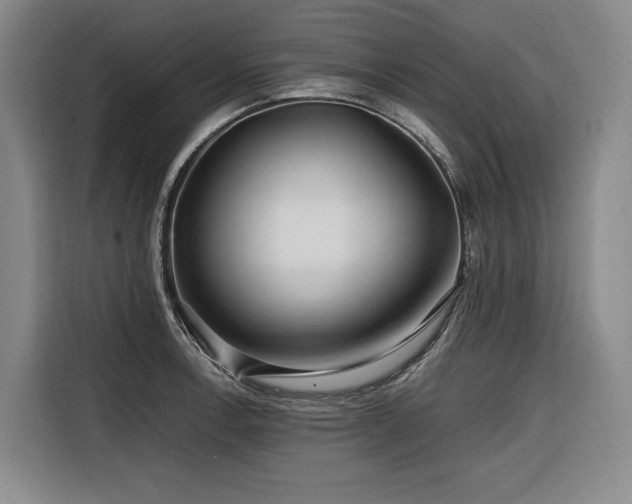 X0000116661138200912141315