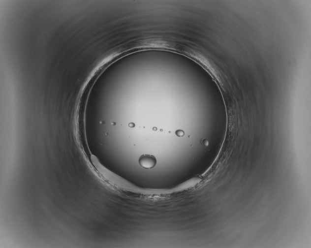 X0000116661139200912141315