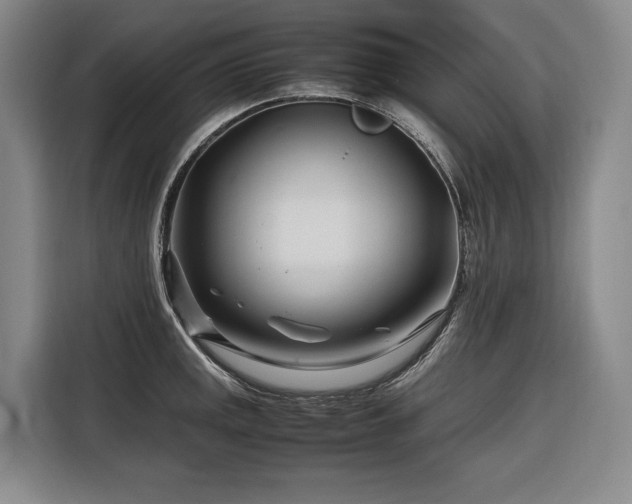 X0000116661141200912141315