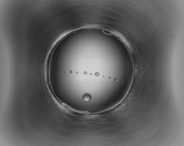 X0000116661143200912141315