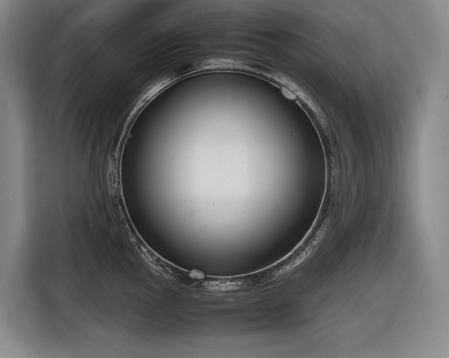 X0000116661145200912141315