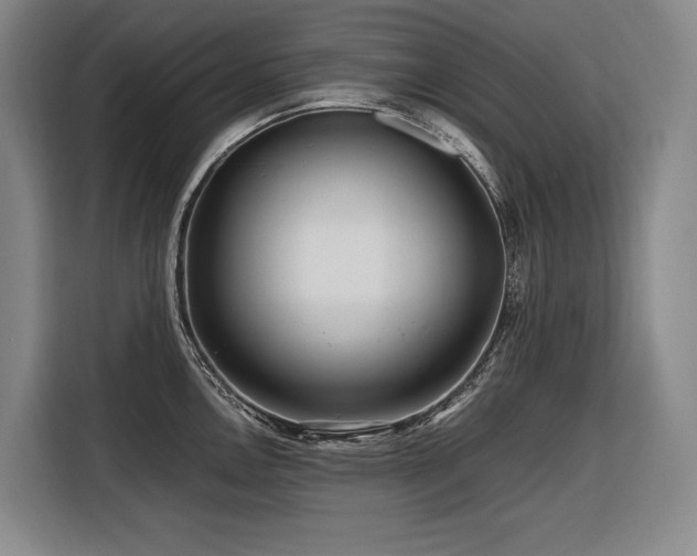 X0000116661146200912141315