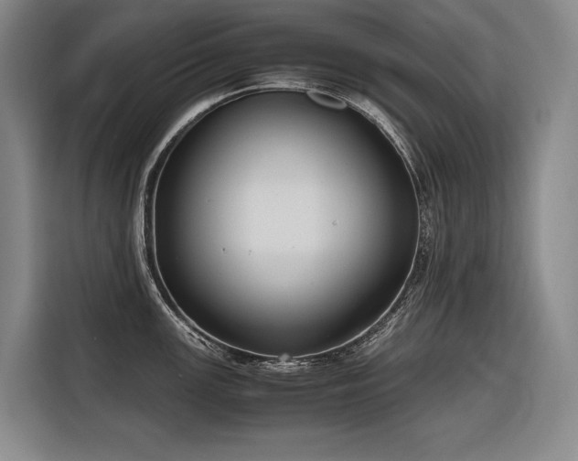 X0000116661147200912141315