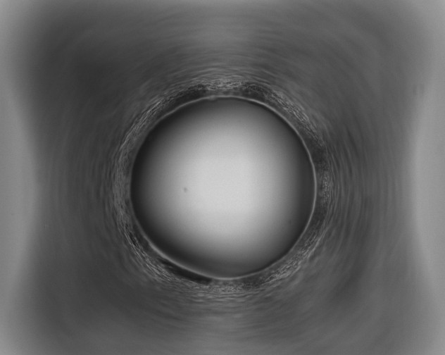 X0000116661153200912141315