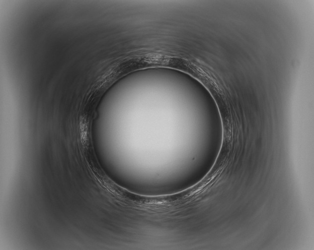 X0000116661154200912141315