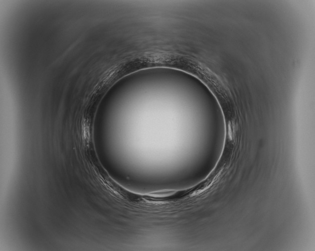 X0000116661155200912141315