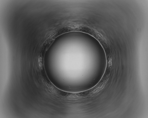 X0000116661156200912141315