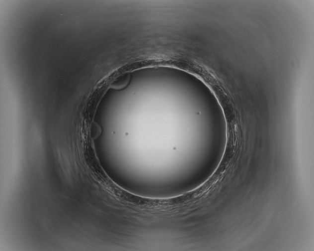 X0000116661158200912141315