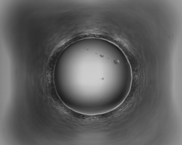 X0000116661159200912141315