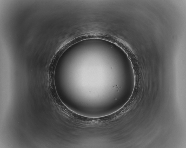 X0000116661160200912141315