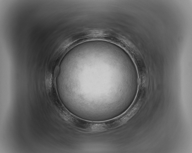 X0000116661161200912141315