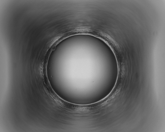 X0000116661162200912141315