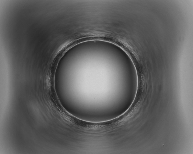 X0000116661163200912141315