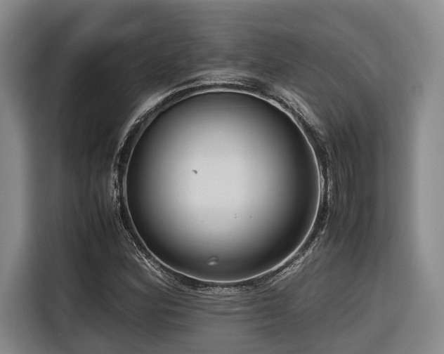 X0000116661164200912141315