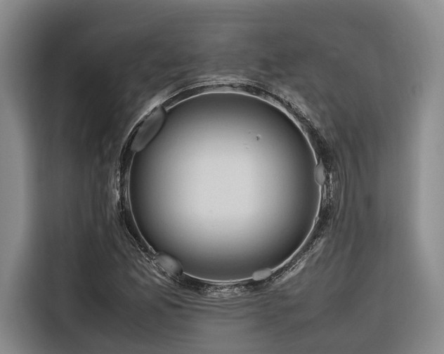 X0000116661165200912141315