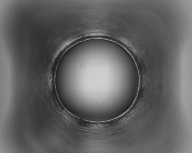 X0000116661167200912141315