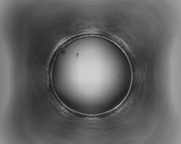 X0000116661168200912141314