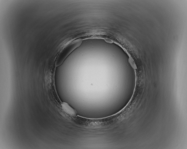 X0000116661169200912141314