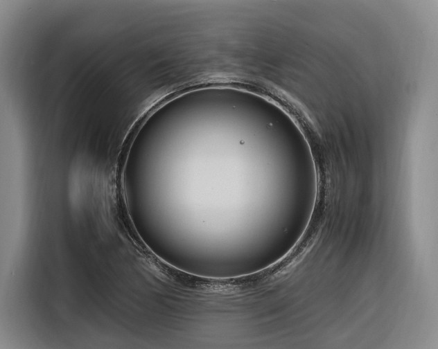 X0000116661170200912141314