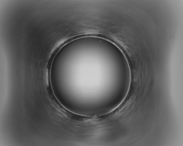 X0000116661171200912141314