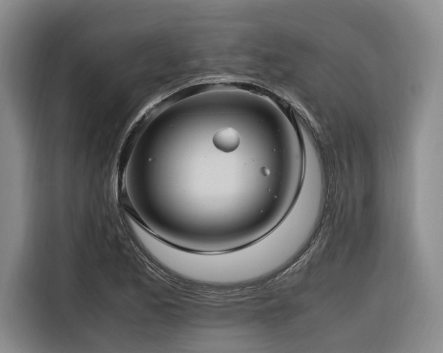 X0000116661173200912141314