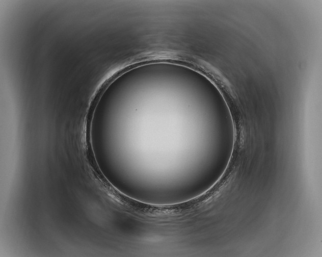 X0000116661174200912141314