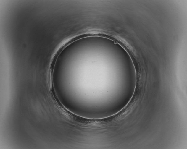 X0000116661175200912141314