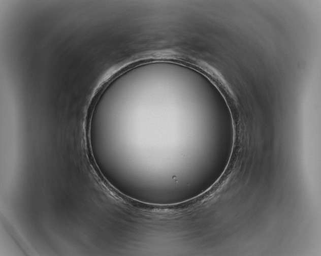 X0000116661176200912141314