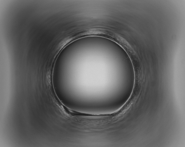 X0000116661177200912141314