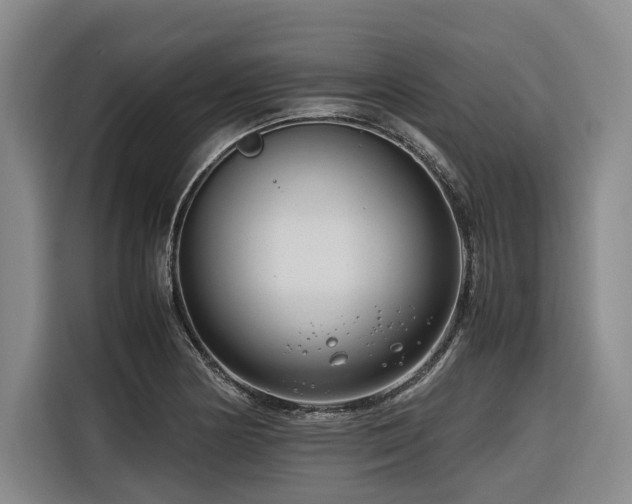 X0000116661178200912141314