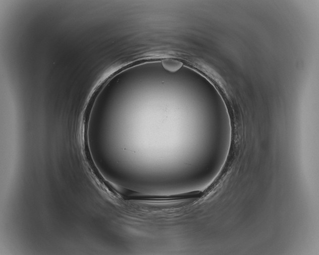 X0000116661179200912141314