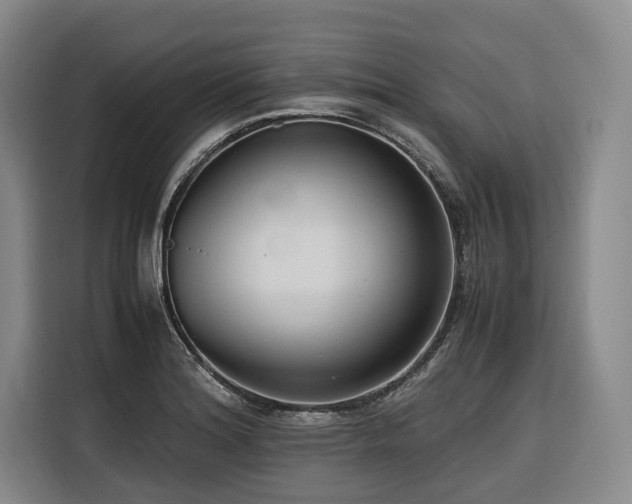 X0000116661180200912141314