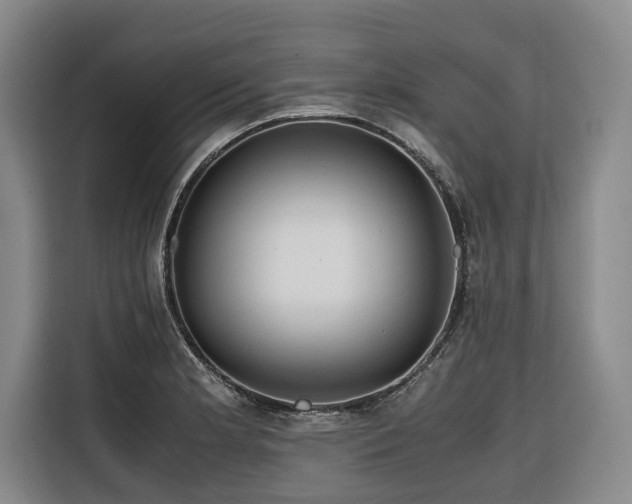 X0000116661181200912141314