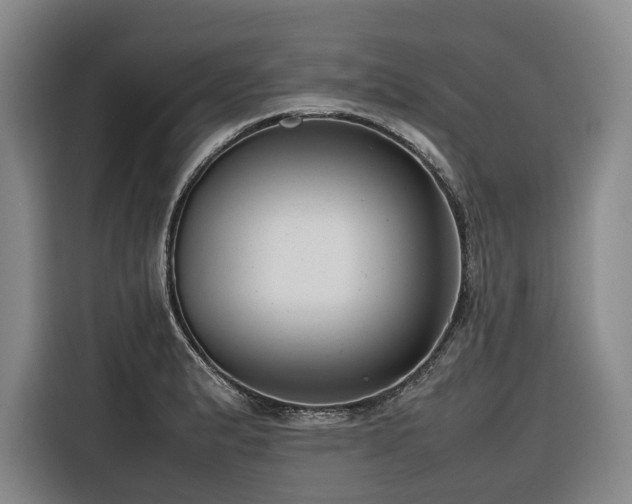 X0000116661183200912141314